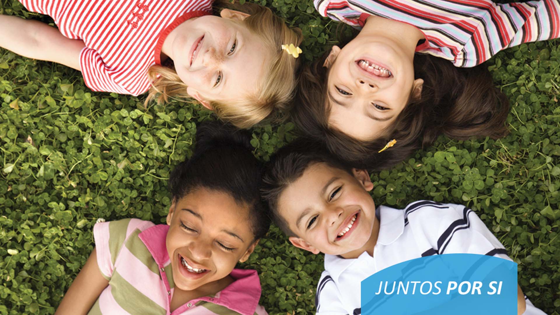 JUNTA DE FREGUESIA VFX, rebranding Portefólio QUATROP